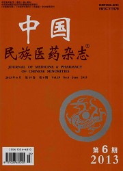 中国民族医药杂志封面