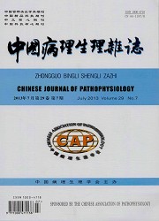 中国病理生理杂志封面