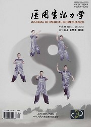 医用生物力学封面