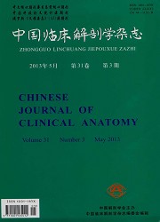 中国临床解剖学杂志封面