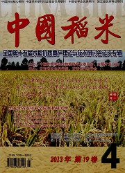中国稻米封面