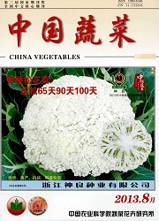 中国蔬菜封面