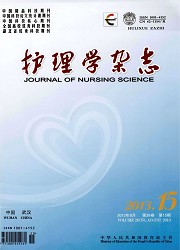 护理学杂志：综合版封面