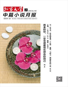 北京文学封面